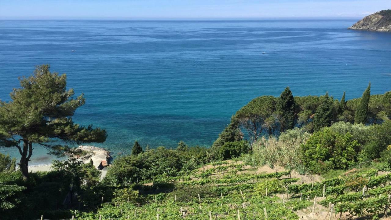 Appartamento A Moneglia, Tra Portofino E Le Cinque Terre Zewnętrze zdjęcie